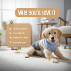 Cozee Knitwear – Soft, Warm & Stylish Winter Wear for Small Pets - Tilting Heads