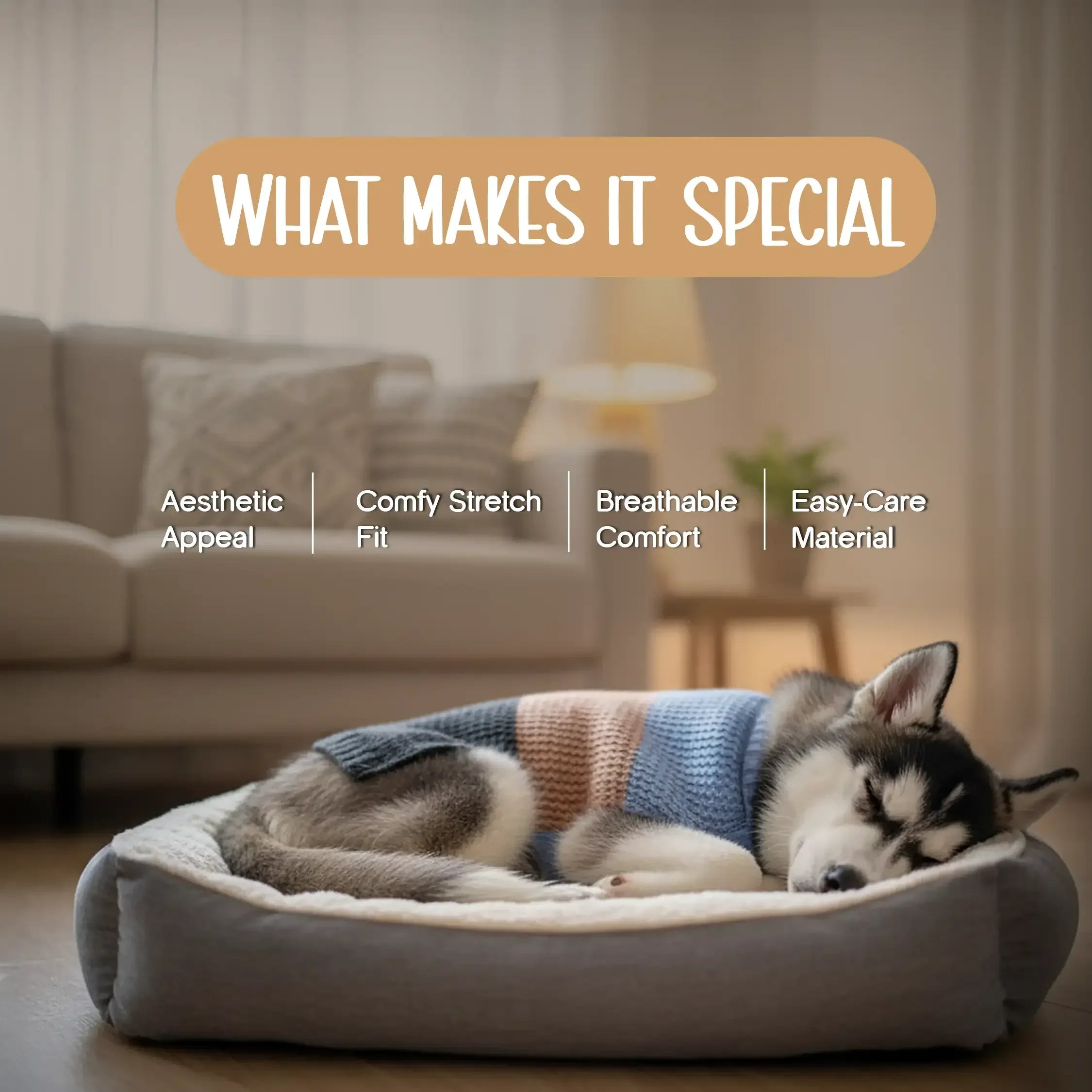 Cozee Knitwear – Soft, Warm & Stylish Winter Wear for Small Pets - Tilting Heads