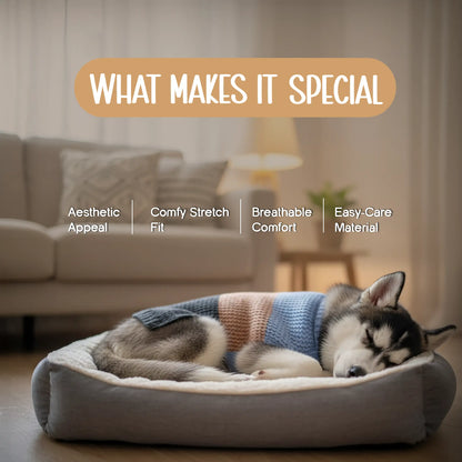 Cozee Knitwear – Soft, Warm & Stylish Winter Wear for Small Pets