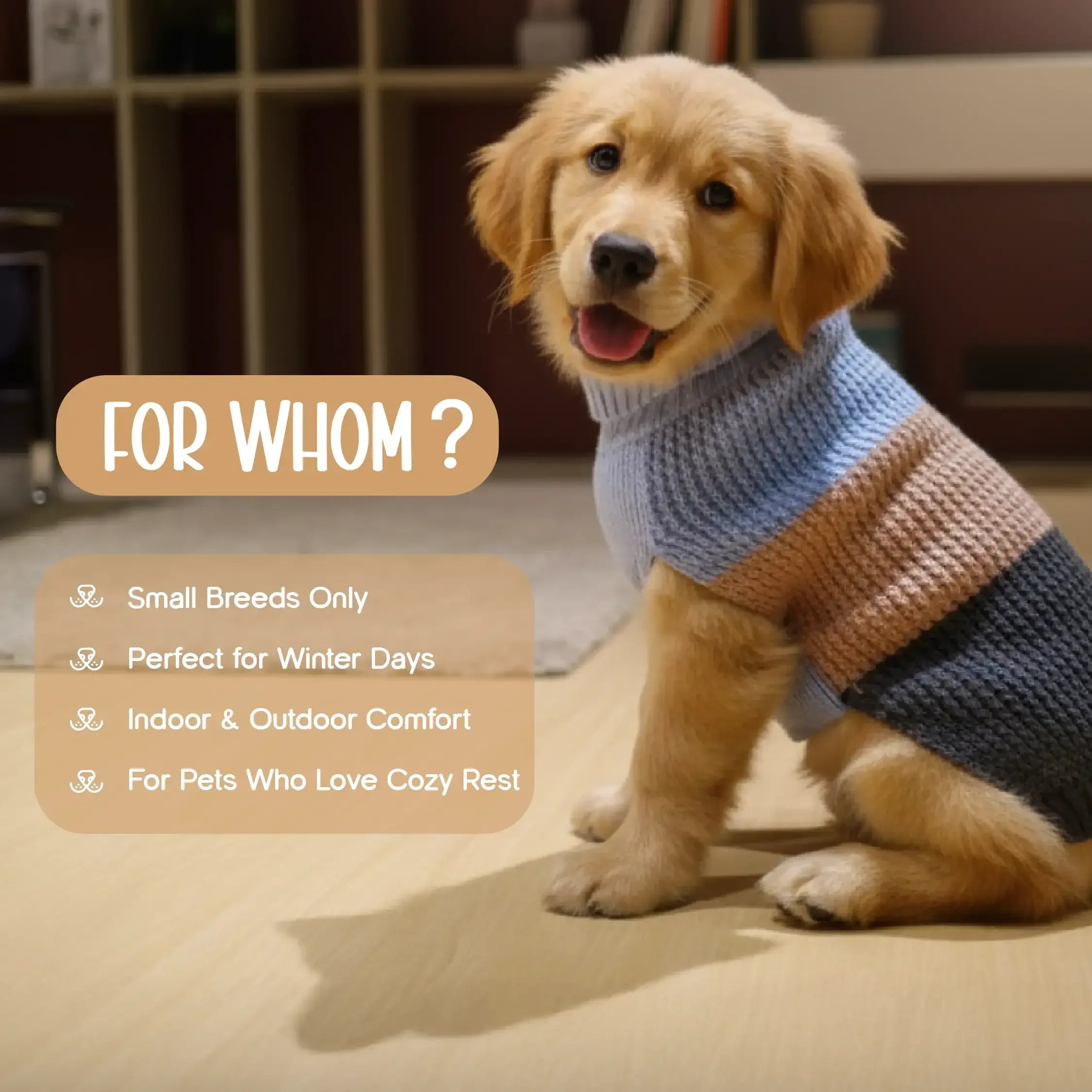 Cozee Knitwear – Soft, Warm & Stylish Winter Wear for Small Pets - Tilting Heads