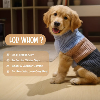 Cozee Knitwear – Soft, Warm & Stylish Winter Wear for Small Pets