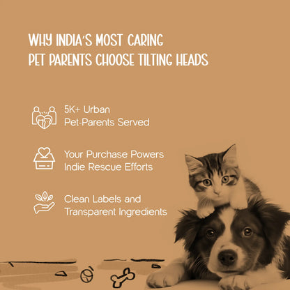 Cozee Knitwear – Soft, Warm & Stylish Winter Wear for Small Pets