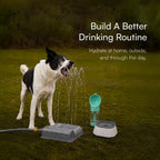 Daily Hydration Kit | Sip, Serve & Refresh