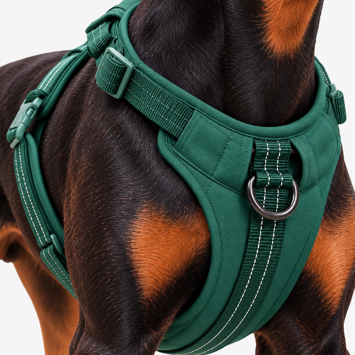 MaxGuard Harness