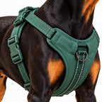 MaxGuard Harness