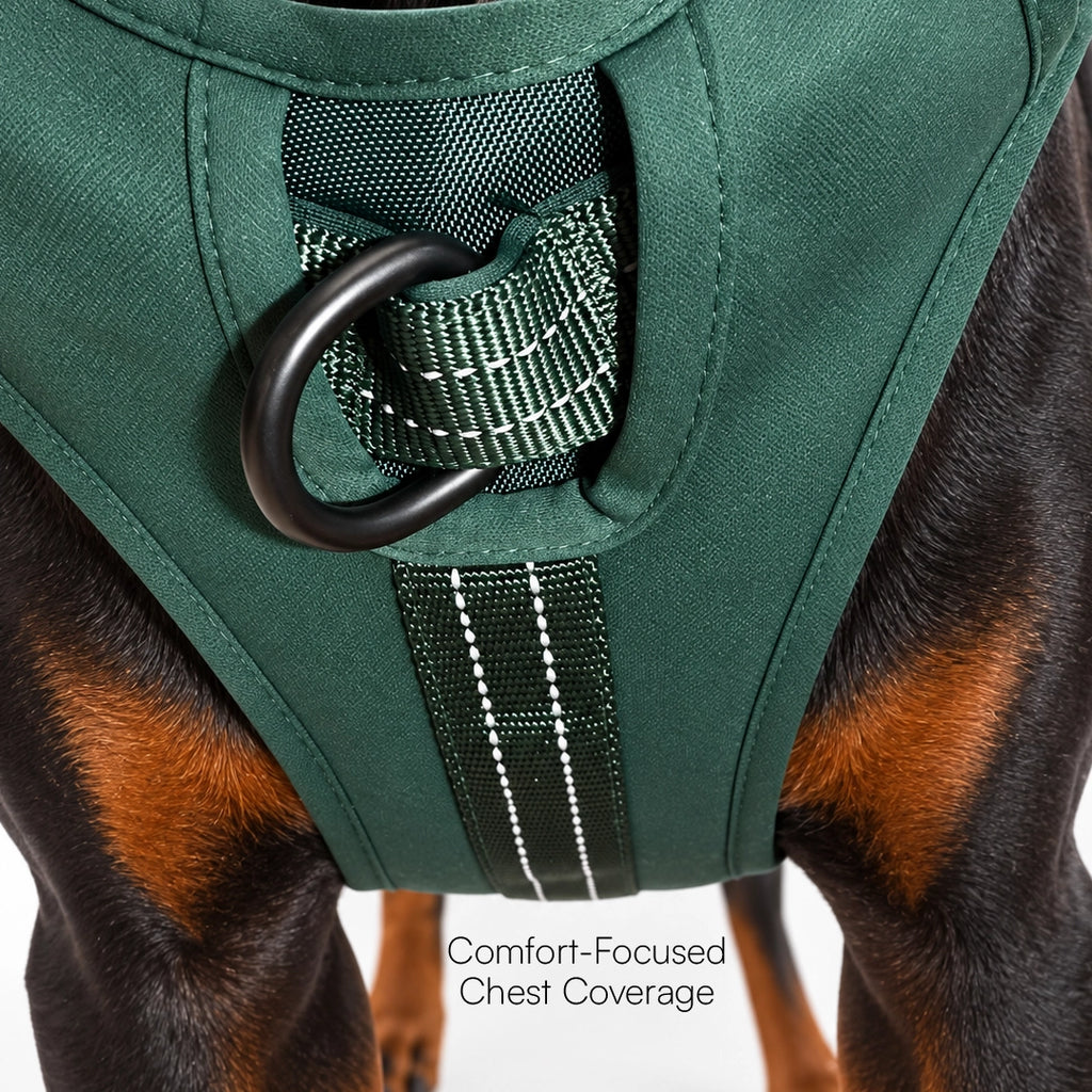 MaxGuard Harness
