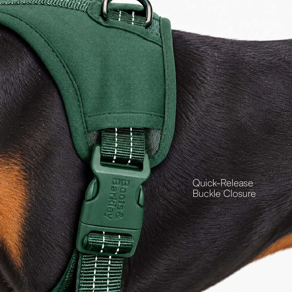 MaxGuard Harness
