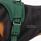 MaxGuard Harness