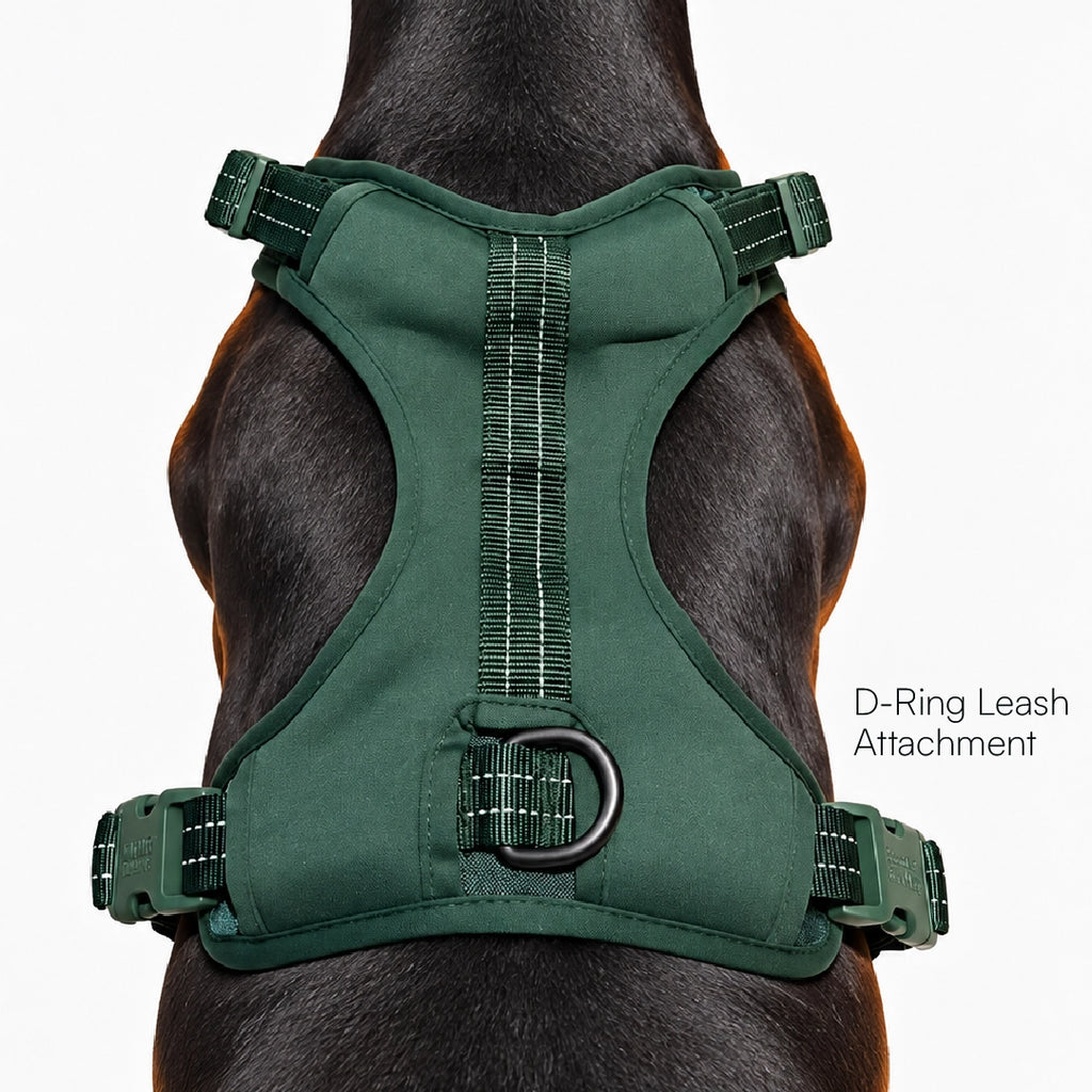 MaxGuard Harness