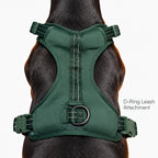 MaxGuard Harness