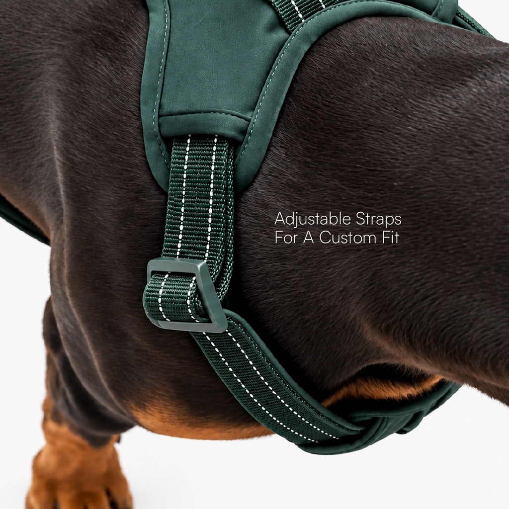 MaxGuard Harness