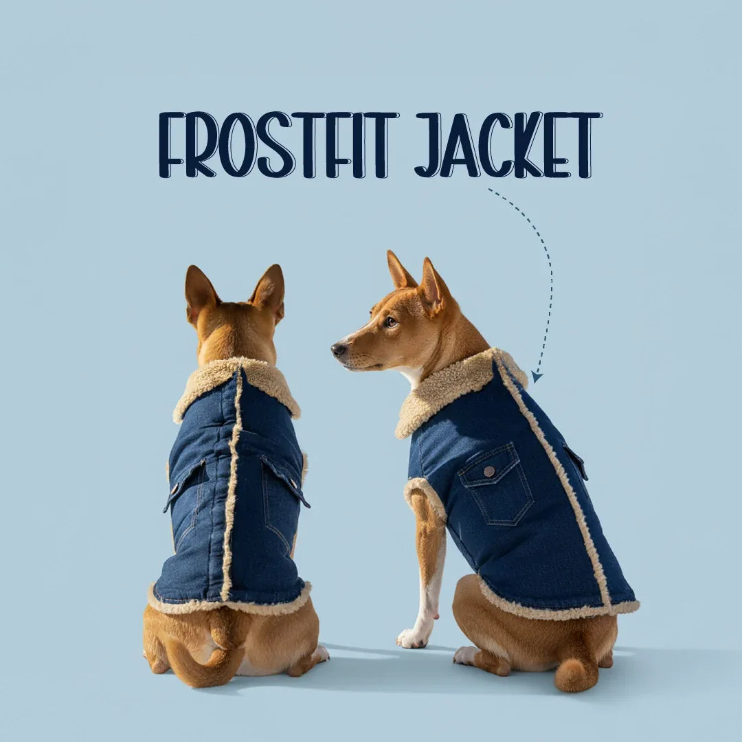 FrostFit Jacket – Warm, Stylish & Winter-Ready Denim Wear for Pets - Tilting Heads