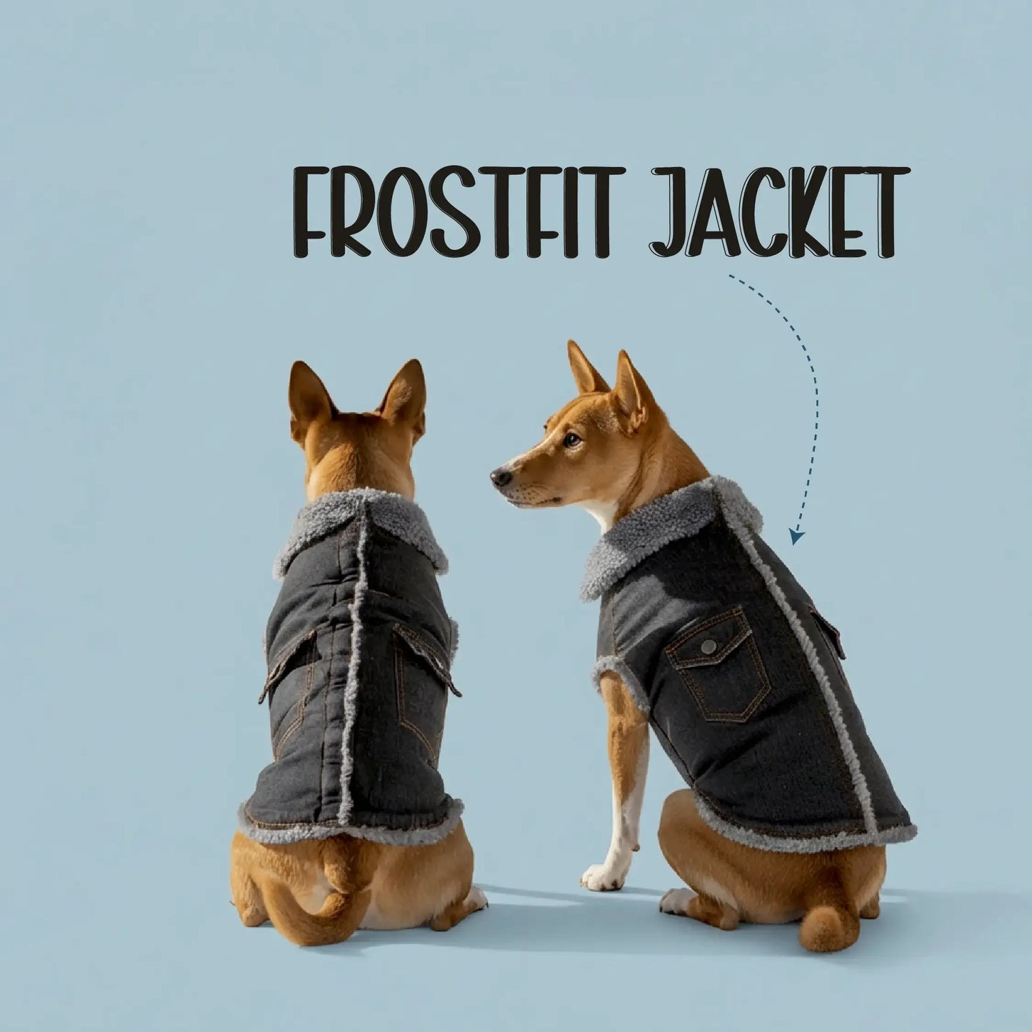 FrostFit Jacket – Warm, Stylish & Winter-Ready Denim Wear for Pets - Tilting Heads