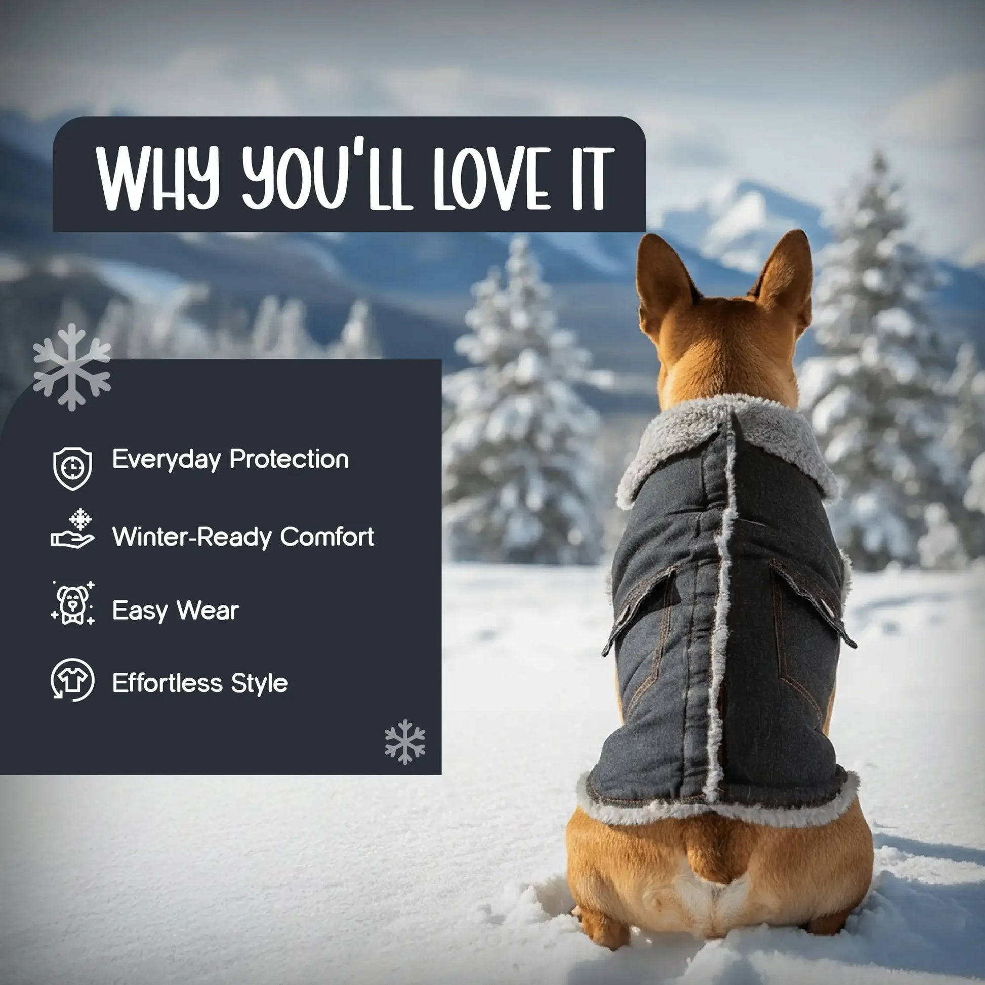 FrostFit Jacket – Warm, Stylish & Winter-Ready Denim Wear for Pets - Tilting Heads