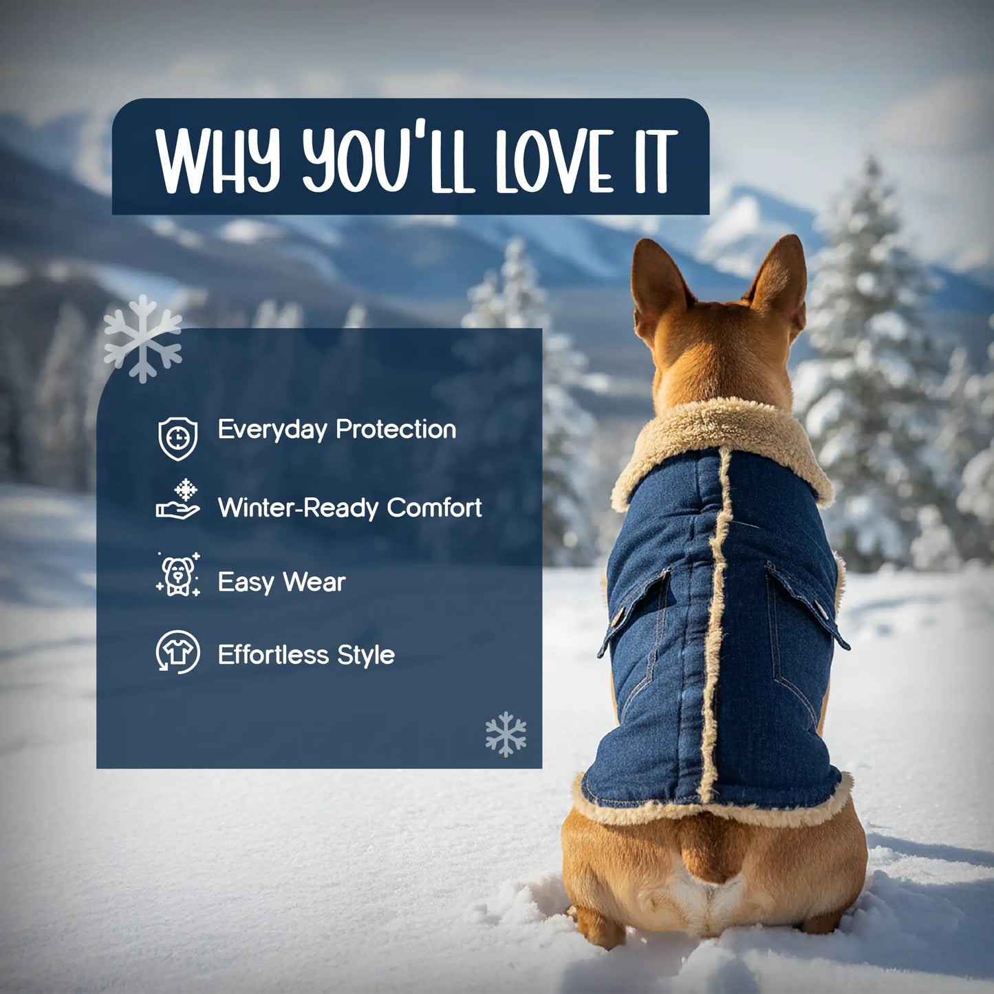 FrostFit Jacket – Warm, Stylish & Winter-Ready Denim Wear for Pets
