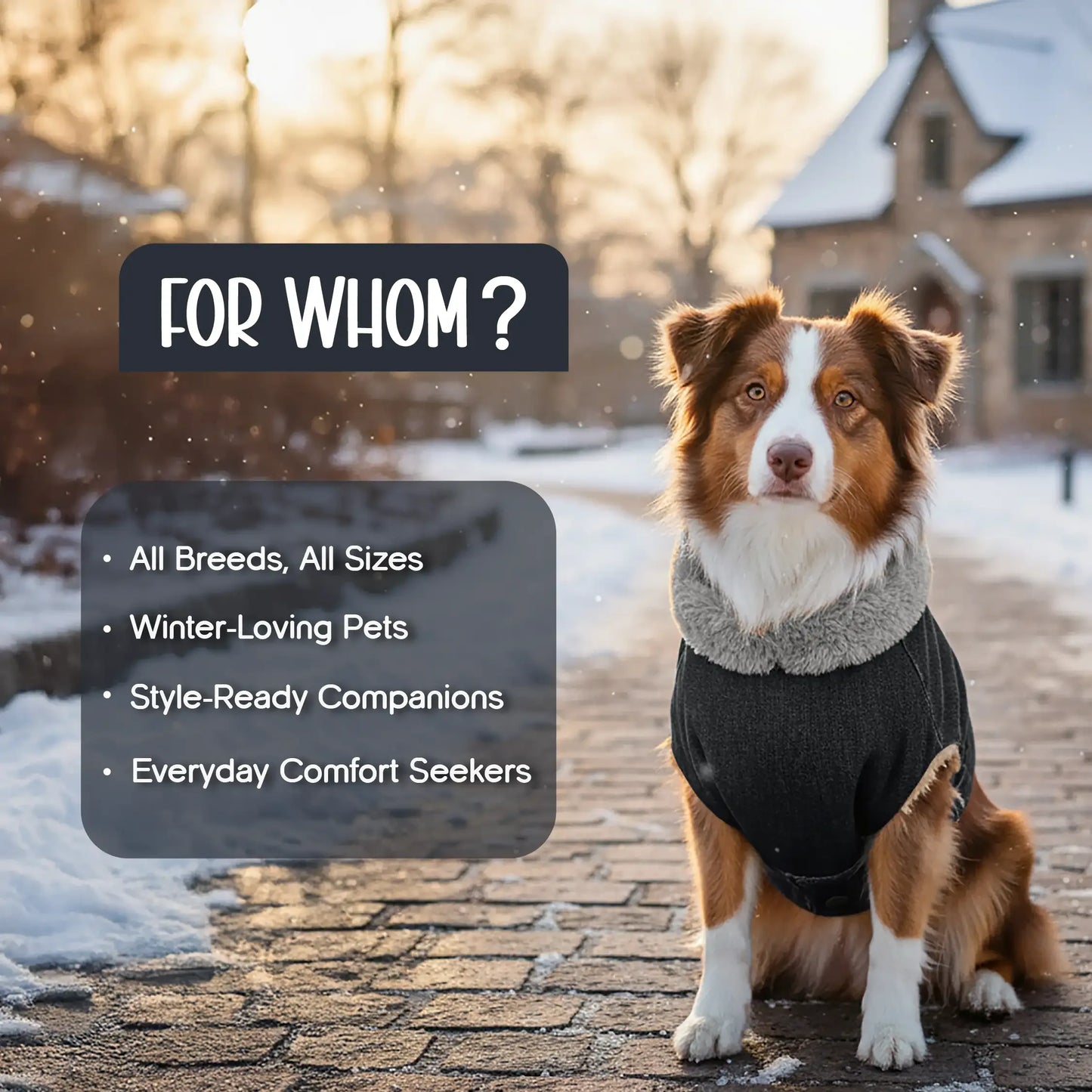 FrostFit Jacket – Warm, Stylish & Winter-Ready Denim Wear for Pets - Tilting Heads