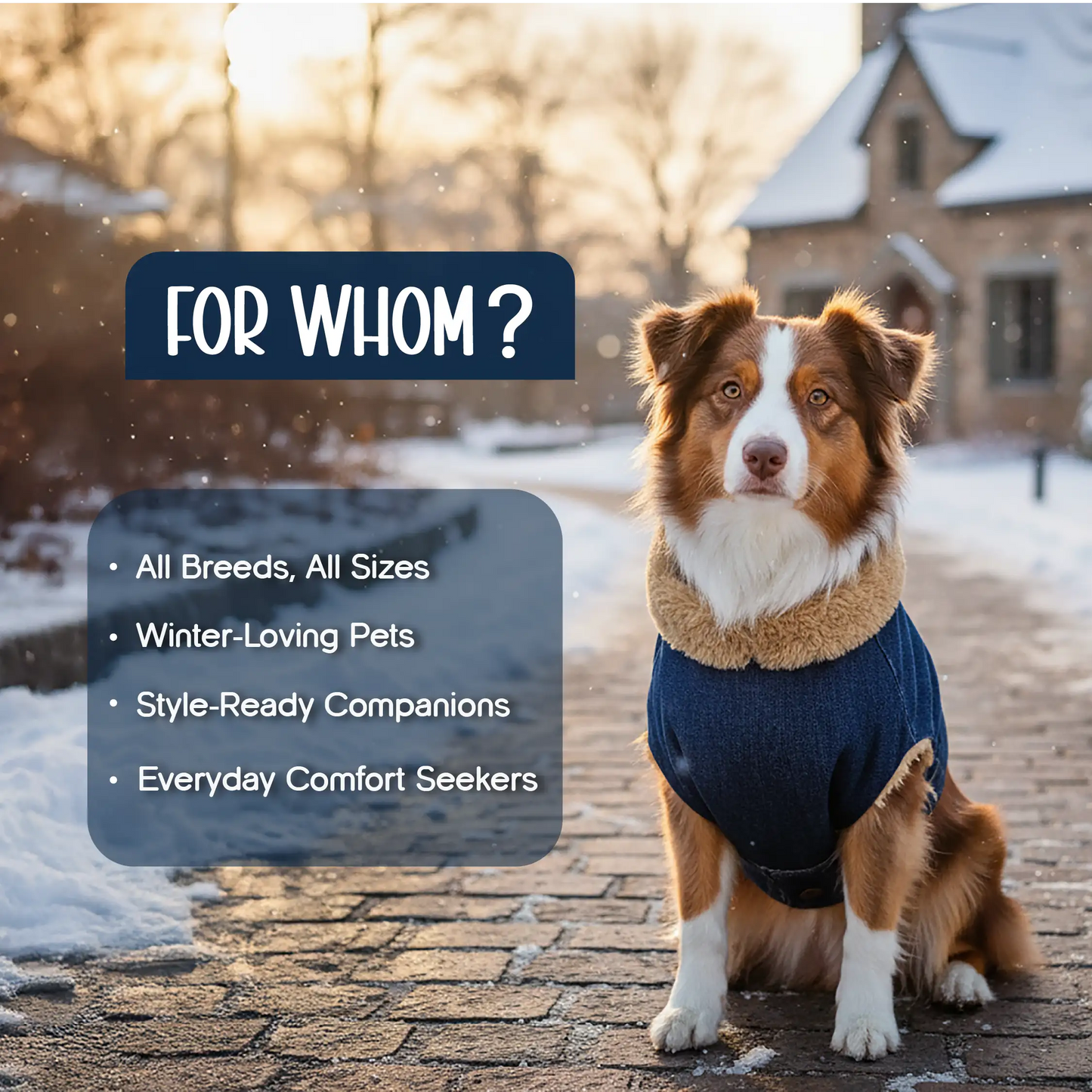 FrostFit Jacket – Warm, Stylish & Winter-Ready Denim Wear for Pets