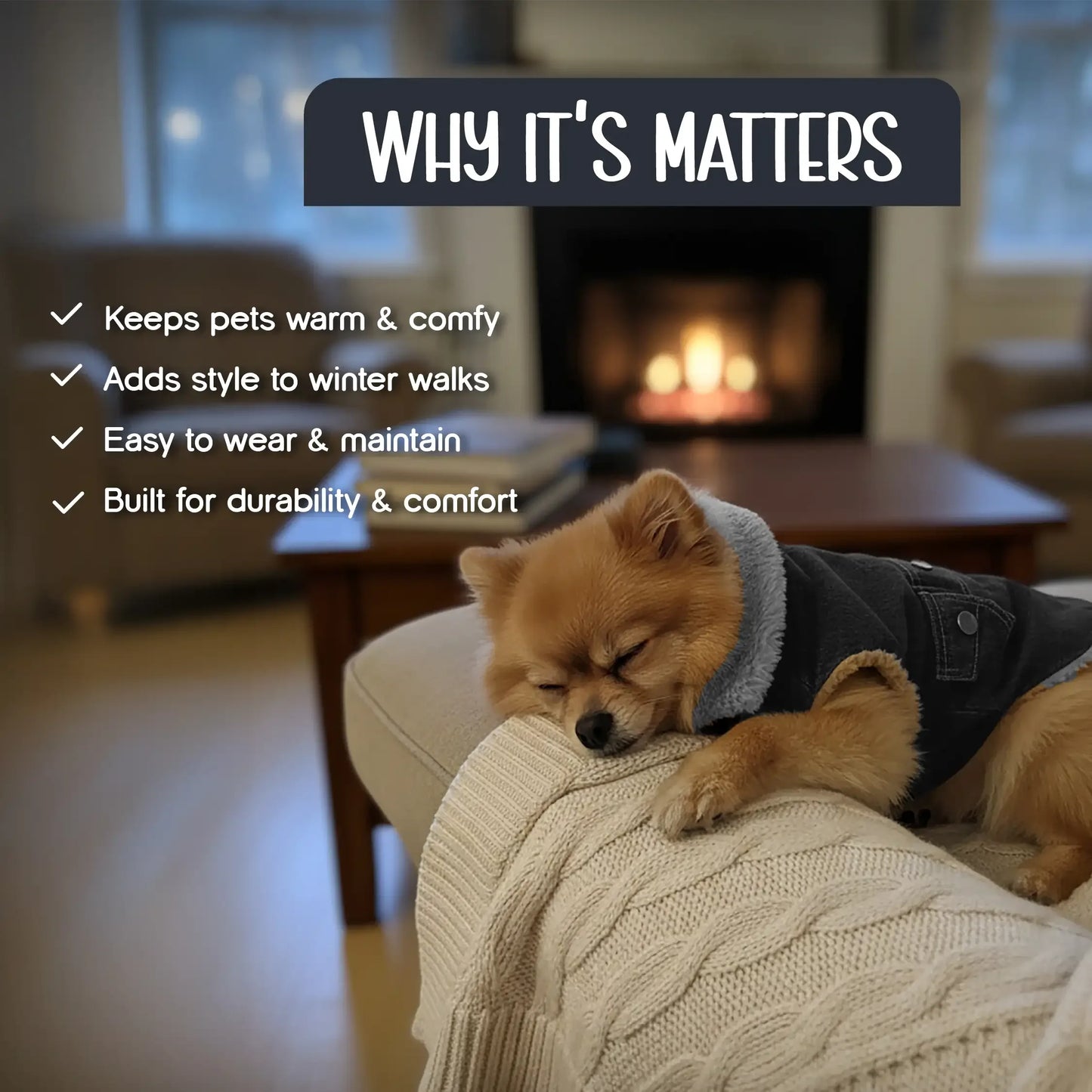 FrostFit Jacket – Warm, Stylish & Winter-Ready Denim Wear for Pets - Tilting Heads