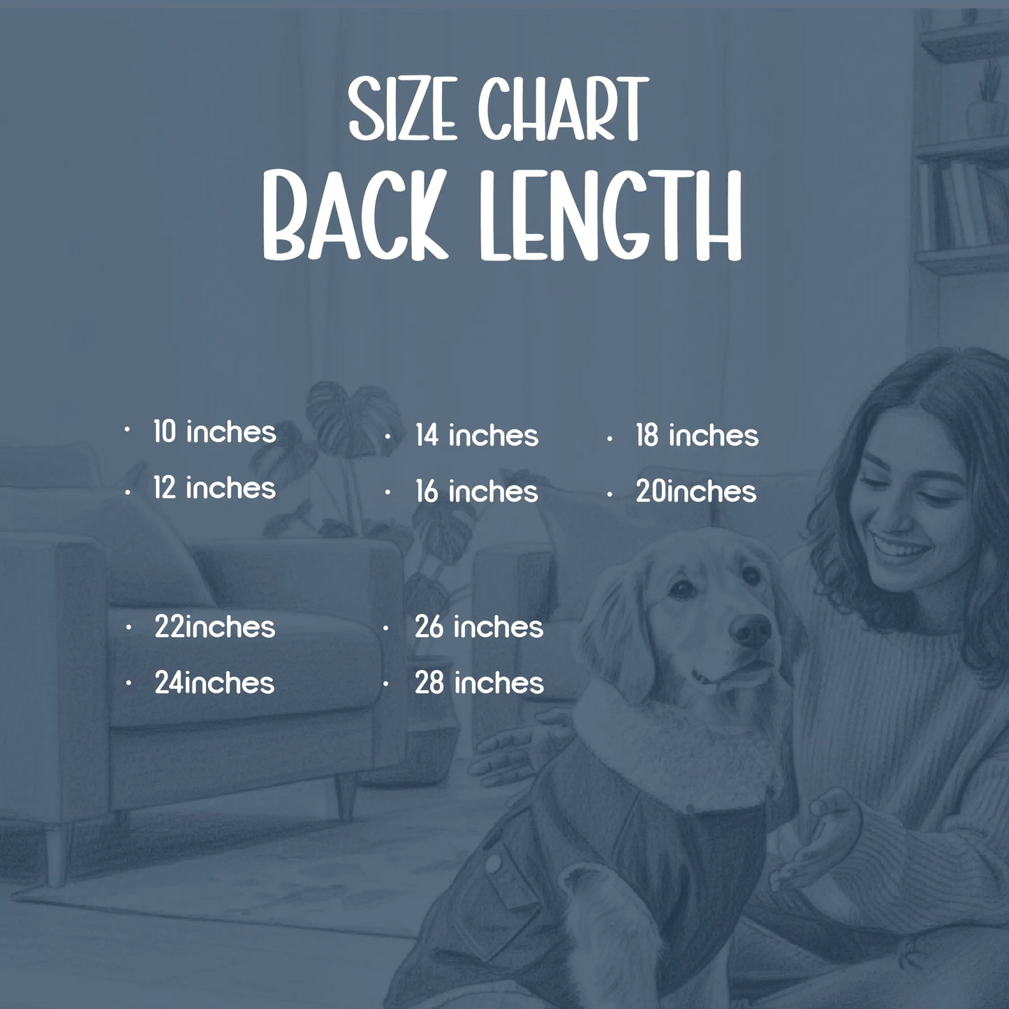 FrostFit Jacket – Warm, Stylish & Winter-Ready Denim Wear for Pets