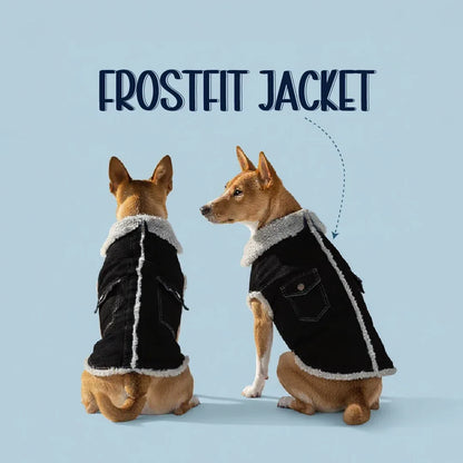 FrostFit Jacket – Warm, Stylish & Winter-Ready Denim Wear for Pets - Tilting Heads