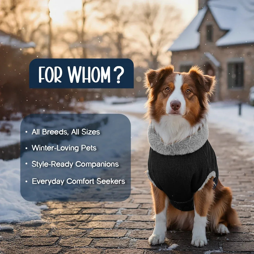 FrostFit Jacket – Warm, Stylish & Winter-Ready Denim Wear for Pets - Tilting Heads