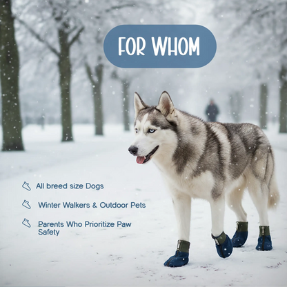 DenimDrip Boots – Warm, Stylish & Secure Paw Protection for Winter