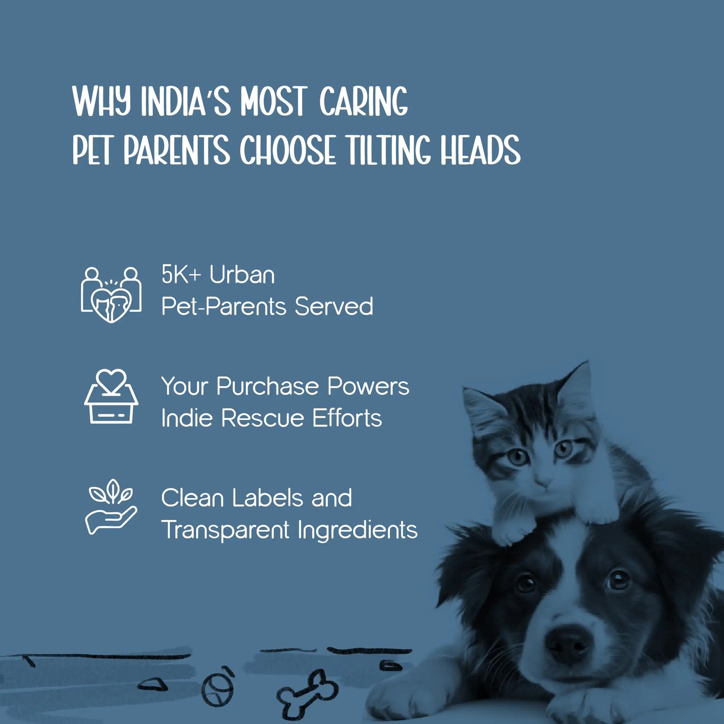 DenimDrip Boots – Warm, Stylish & Secure Paw Protection for Winter