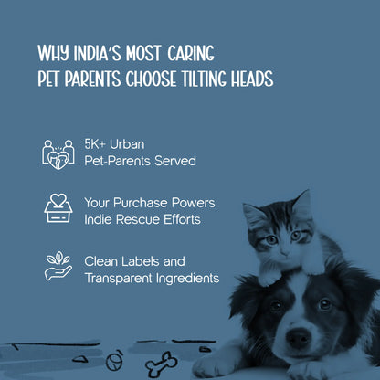 DenimDrip Boots – Warm, Stylish & Secure Paw Protection for Winter