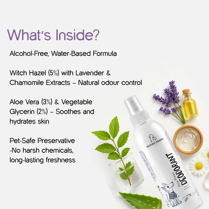 Aloe Fresh Deodorant  | Alcohol-Free | Long-Lasting Freshness