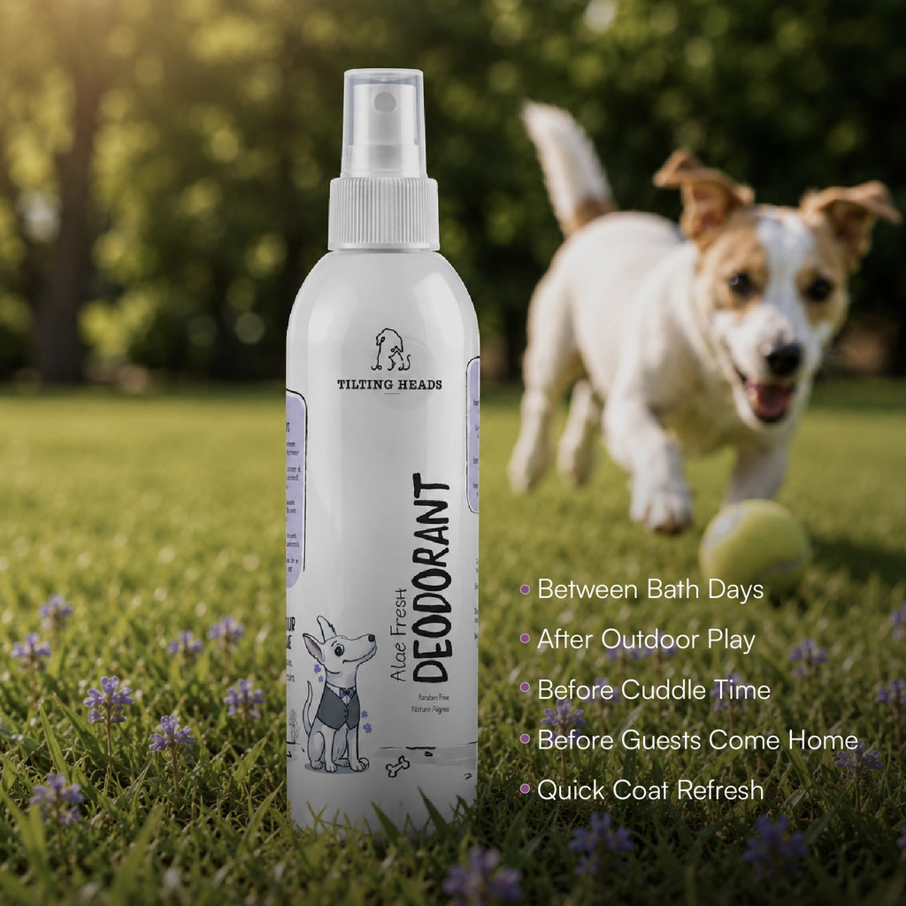 Aloe Fresh Deodorant | Alcohol-Free | Gentle, Long-Lasting Freshness for Dogs & Cats