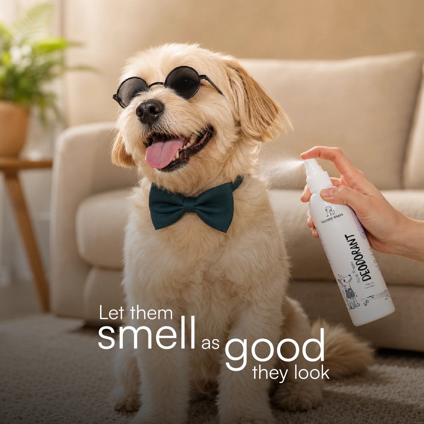 Aloe Fresh Deodorant | Alcohol-Free | Gentle, Long-Lasting Freshness for Dogs & Cats