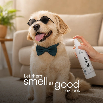 Aloe Fresh Deodorant | Alcohol-Free | Gentle, Long-Lasting Freshness for Dogs & Cats