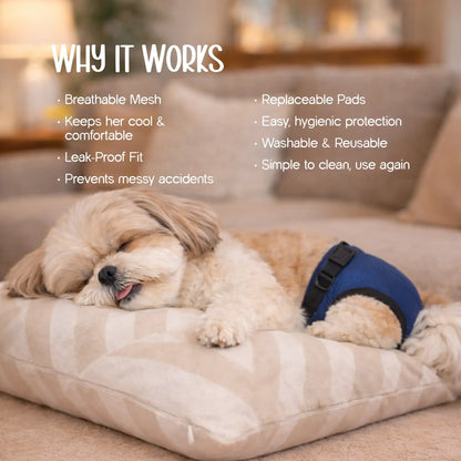 SanctiCare Heat Wrap — Reusable Protection for Dogs in Heat | Includes 3 Absorbent Pads