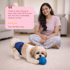 SanctiCare Heat Wrap — Reusable Protection for Dogs in Heat | Includes 3 Absorbent Pads