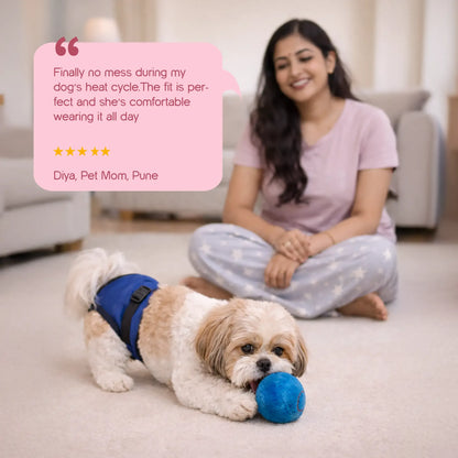 SanctiCare Heat Wrap — Reusable Protection for Dogs in Heat | Includes 3 Absorbent Pads