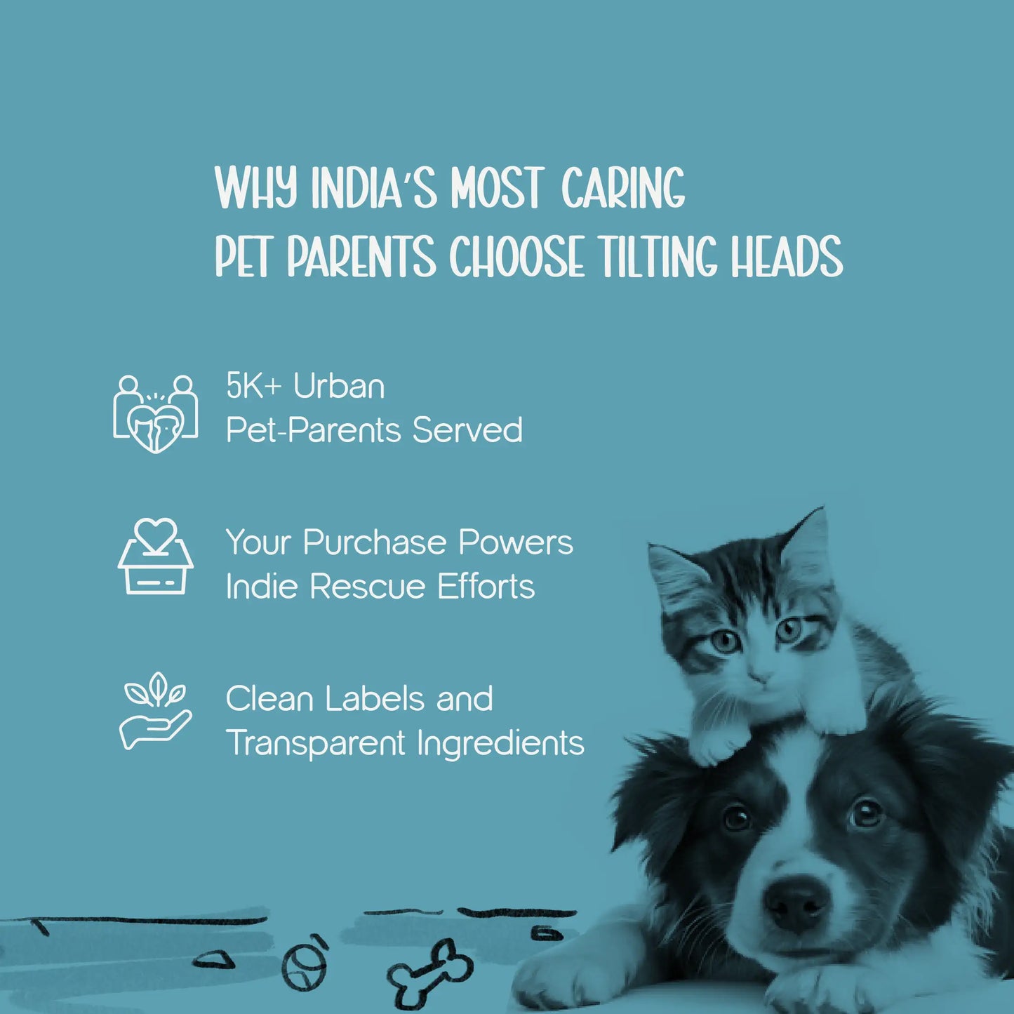 Cozina Blanket – Warm & Snuggle-Ready Winter Comfort for Pets