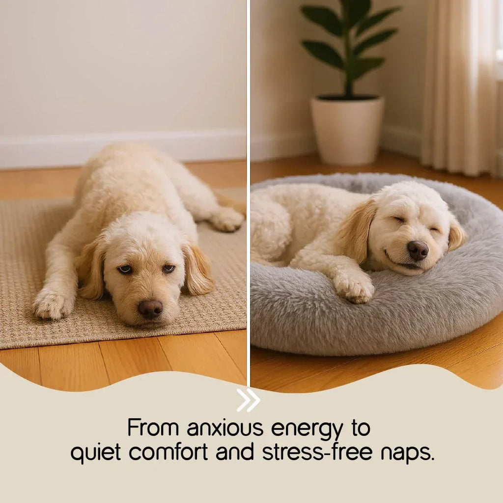 NapDen Donut Bed | Stress-Relief Pet Bed | Safe for All Skin Types - Tilting Heads