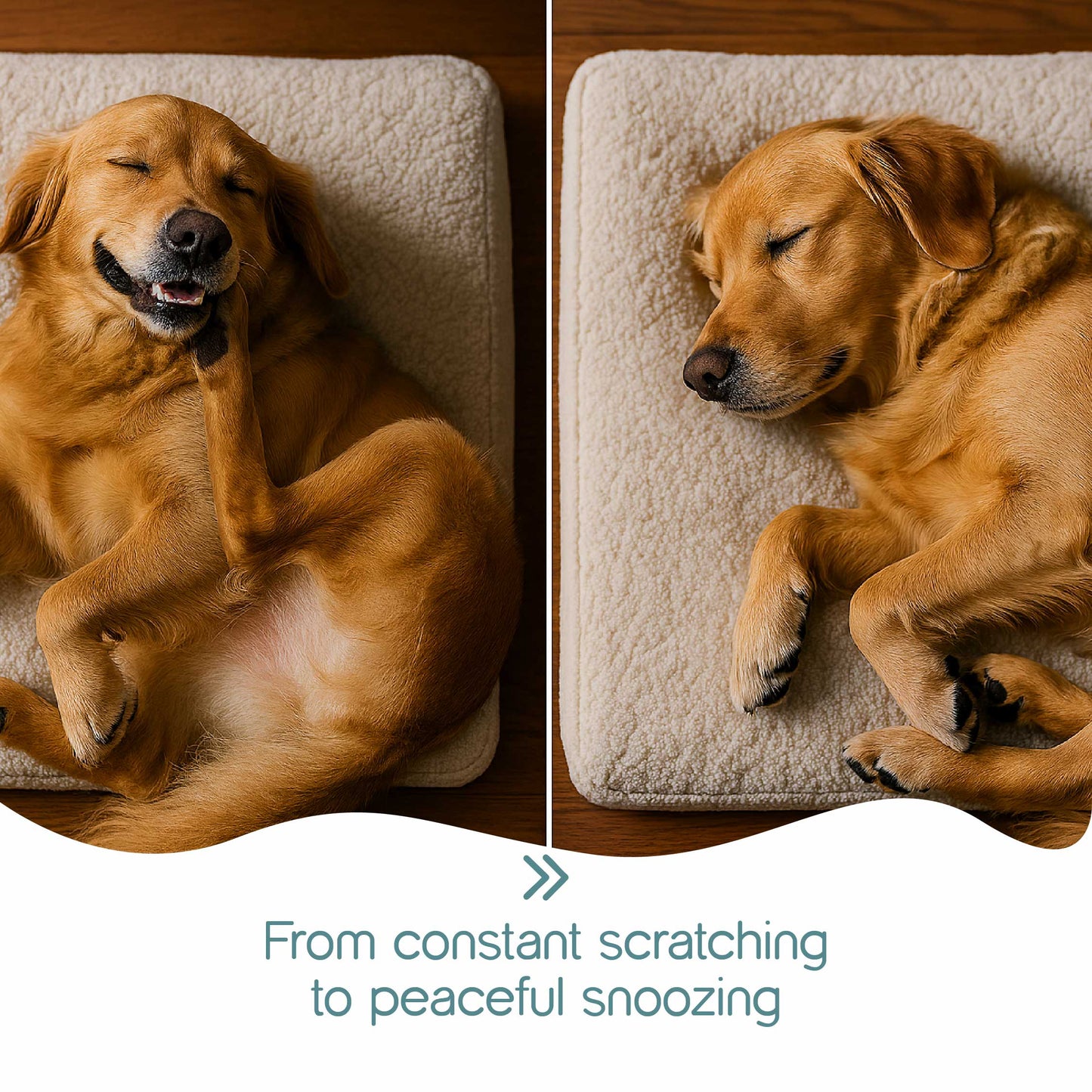 Pet Safe Ear Care Solution – Gentle, Daily Ear Cleaning for Pets