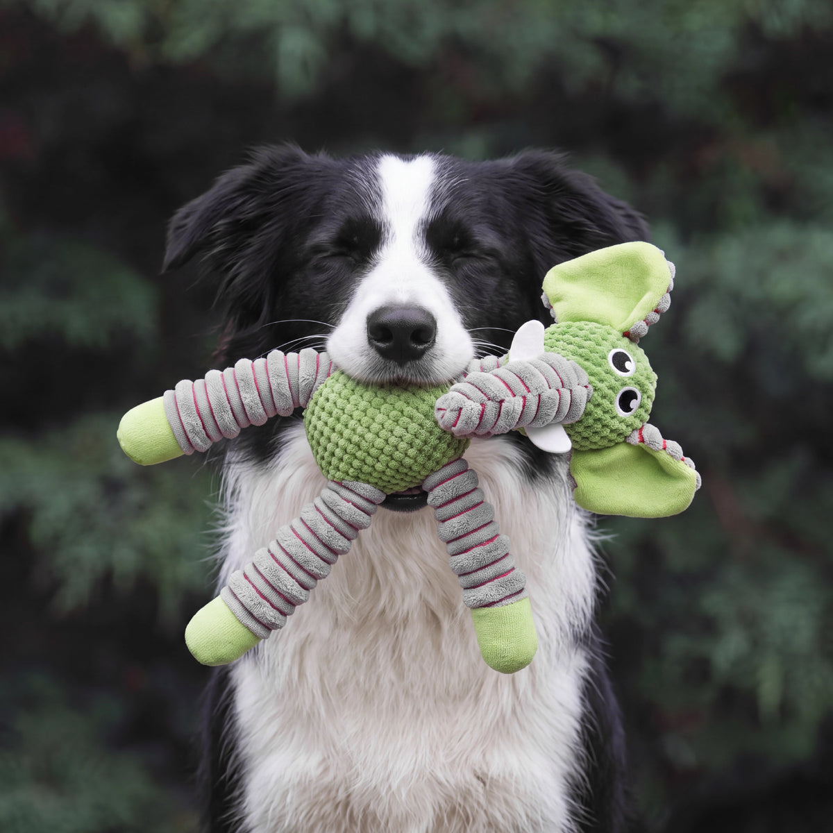 Ellie Chew Toy