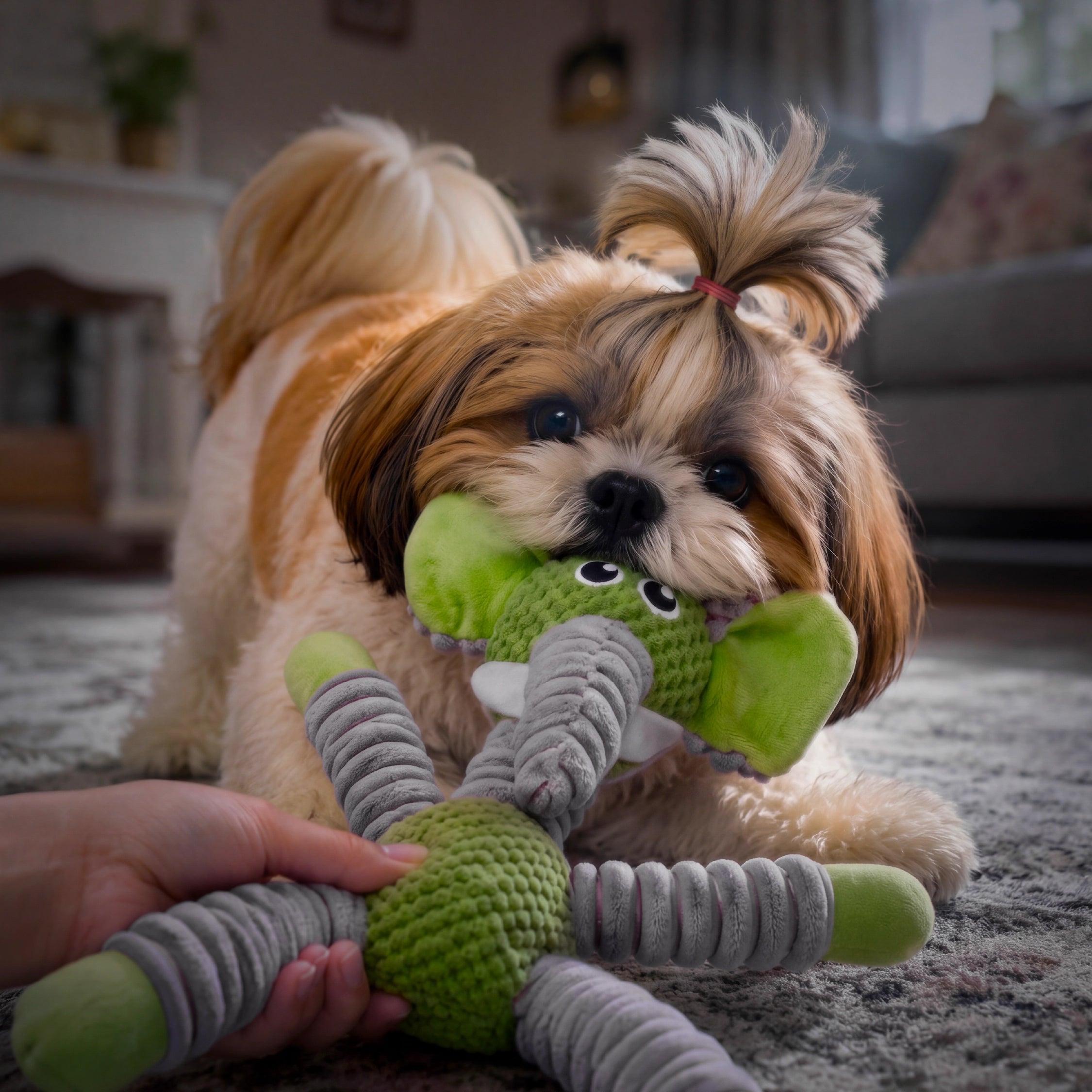 Ellie Chew Toy