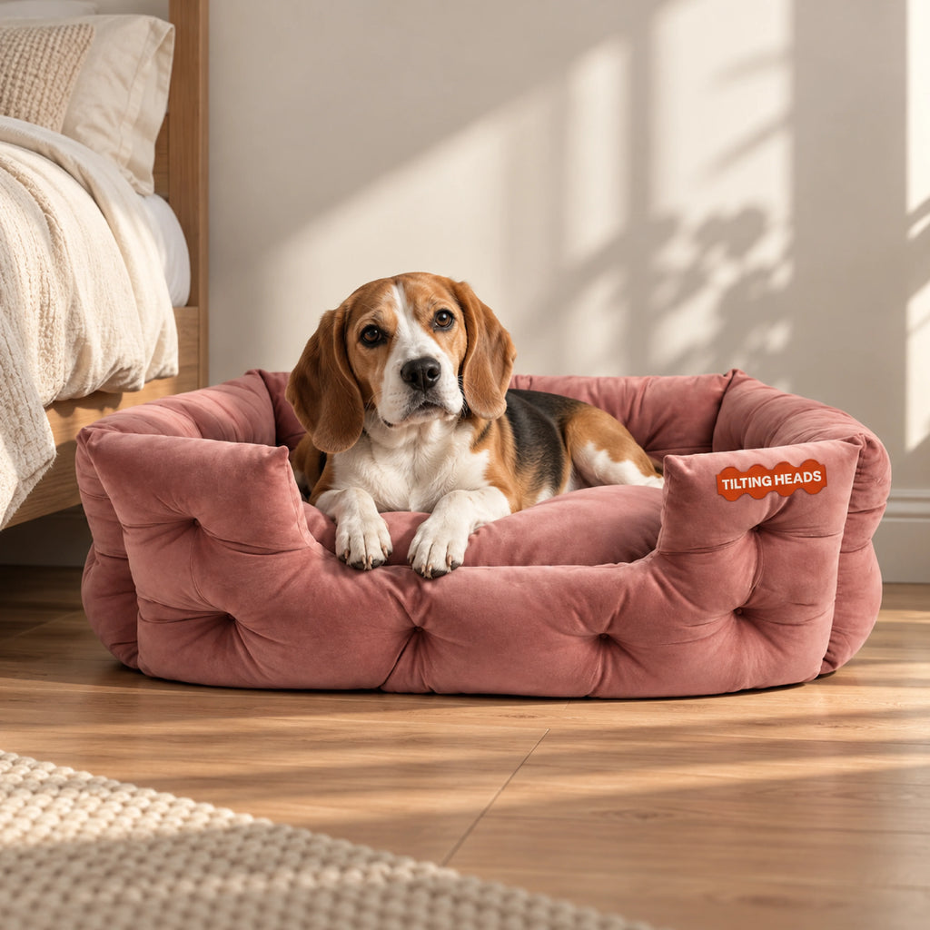 Empress Plush Bed