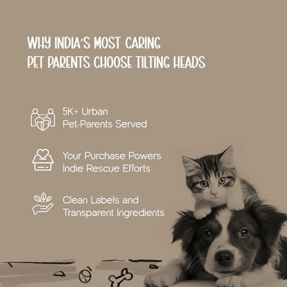 ExpandEase Carrier Bag – Spacious, Airy & Stress-Free Travel for Pets