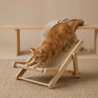 Meow Scratch Lounge