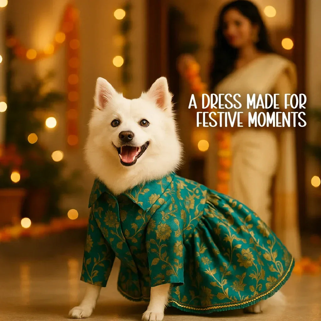 FairyGlow Frock – Comfy Festive Wear for Pets - Tilting Heads