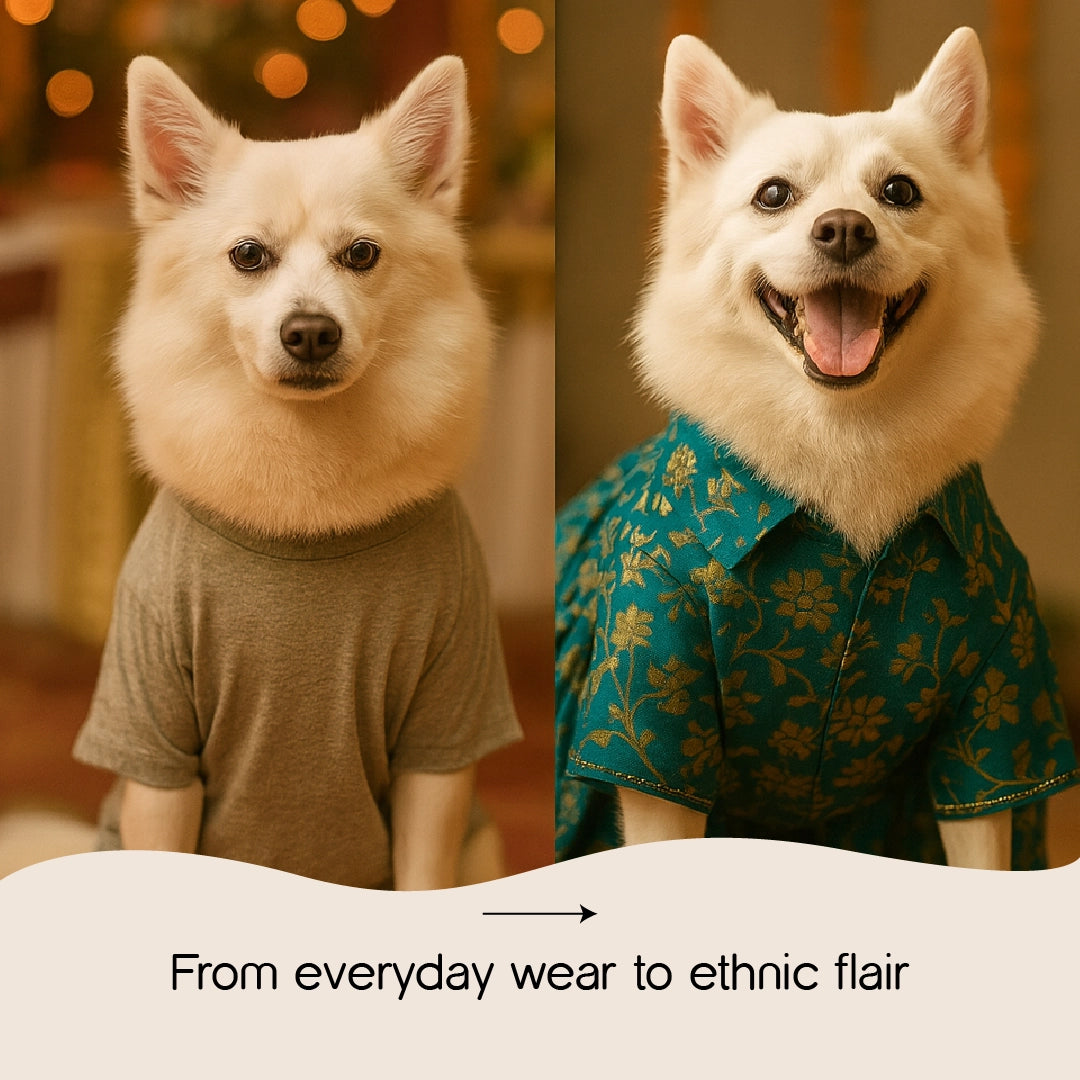 FairyGlow Frock – Comfy Festive Wear for Pets