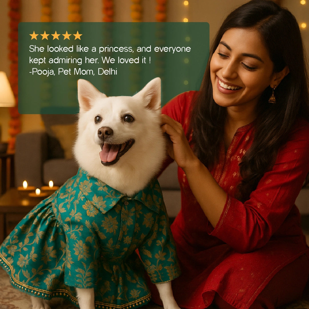 FairyGlow Frock – Comfy Festive Wear for Pets