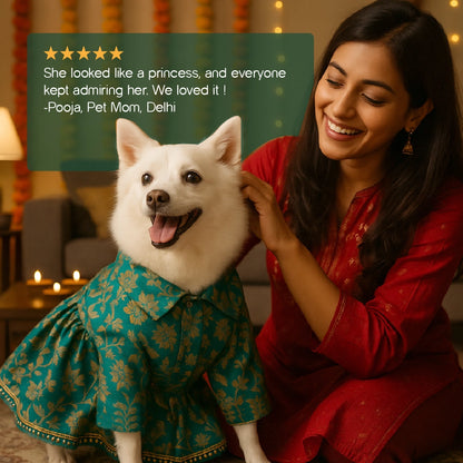 FairyGlow Frock – Comfy Festive Wear for Pets