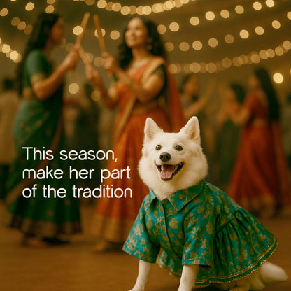 FairyGlow Frock – Comfy Festive Wear for Pets