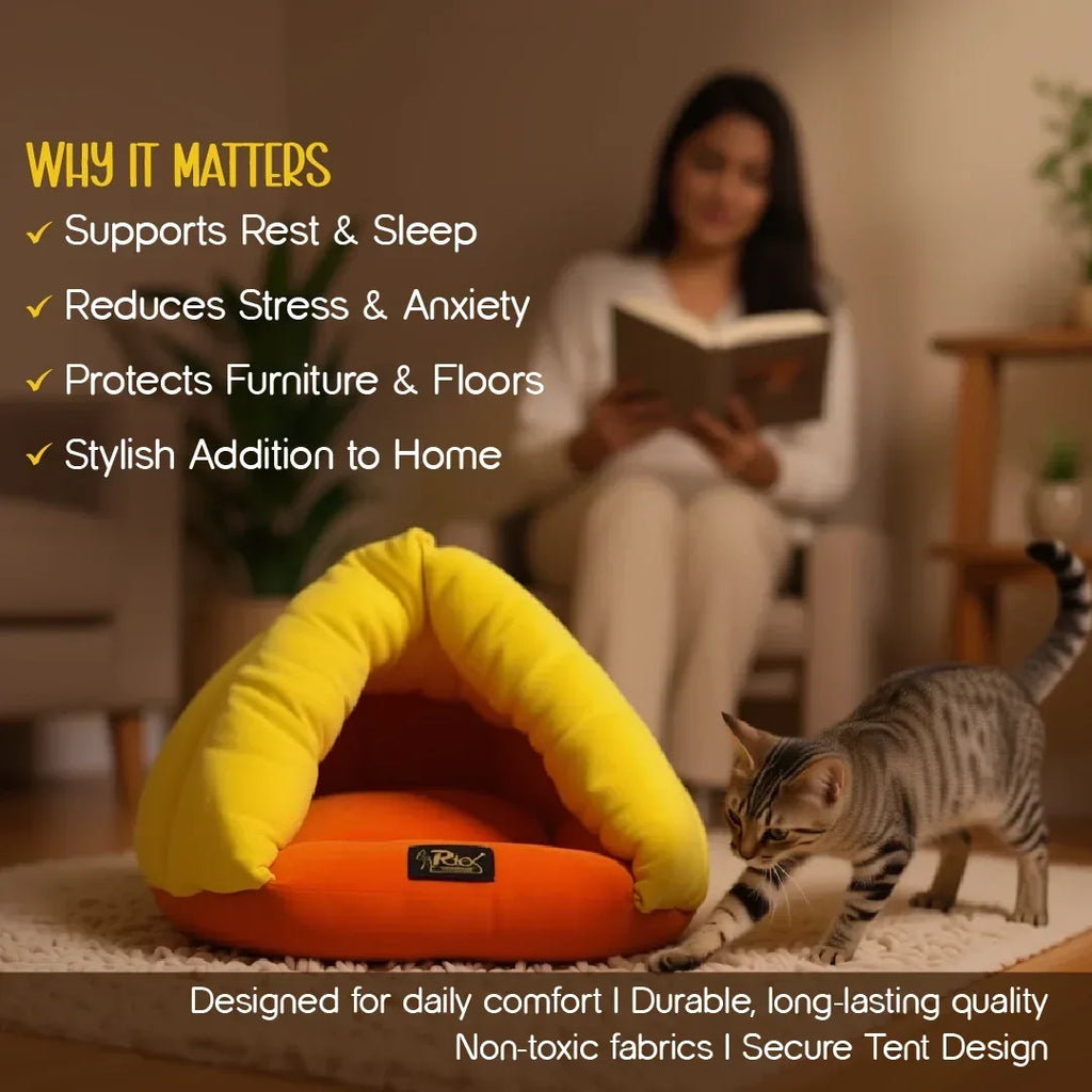 Felis Cocoon – Cozy Tent Bed for Pets | Soft & Stylish Design - Tilting Heads