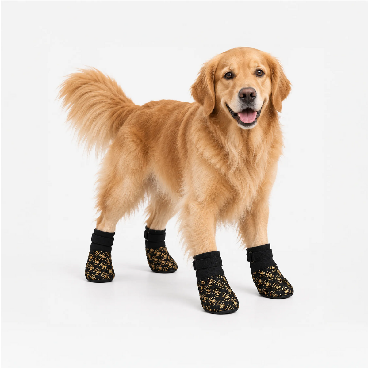 Zari Boots
